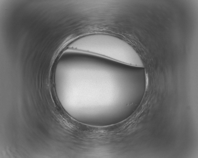 X0000057080195200509090921
