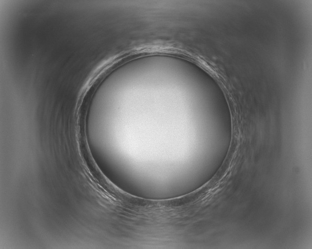 X0000057080199200509090921