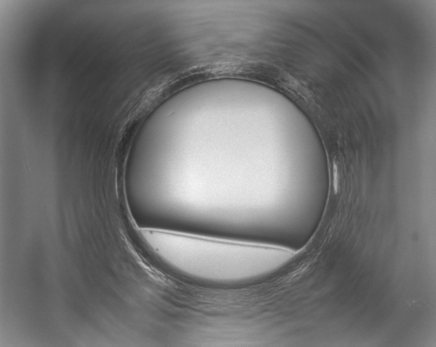 X0000057080205200509090921