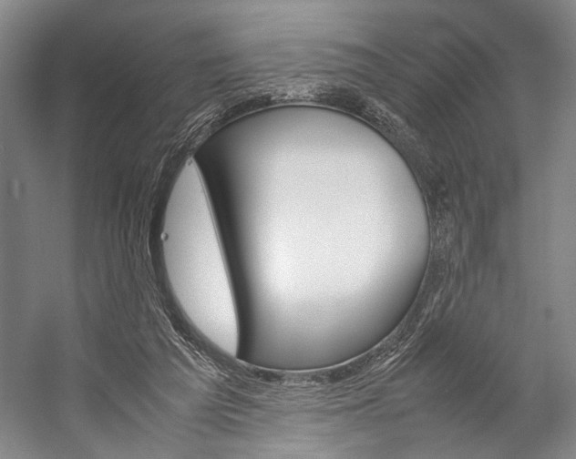 X0000057080209200509090921