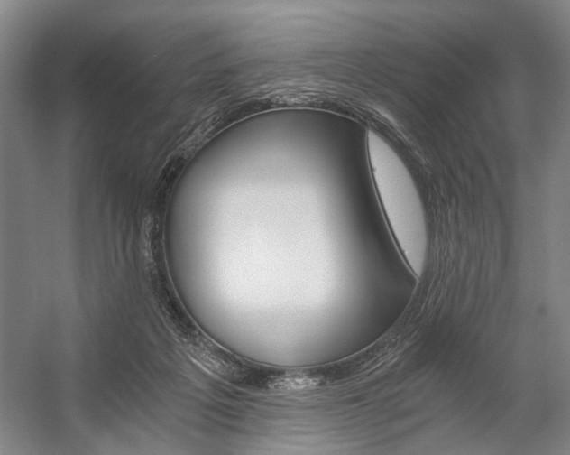 X0000057080217200509090921