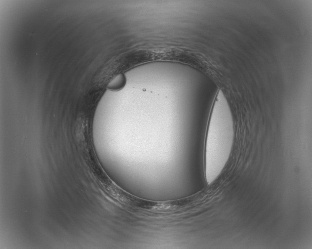 X0000057080225200509090921