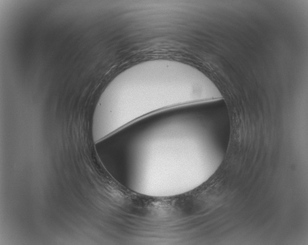 X0000057080232200509090921