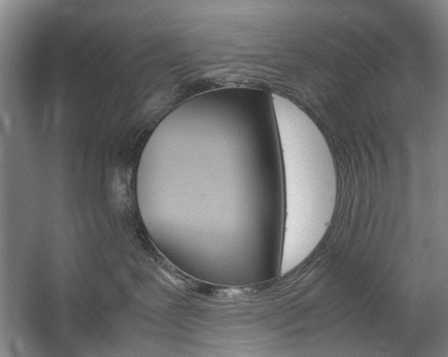 X0000057080239200509090921