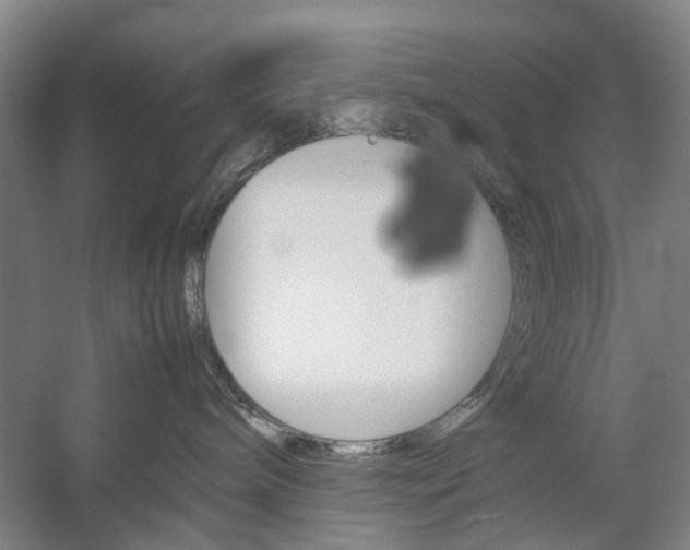 X0000057080240200509090921