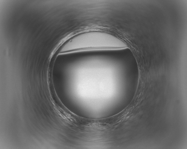 X0000057080244200509090920