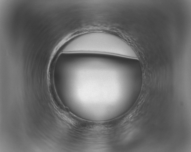 X0000057080246200509090920