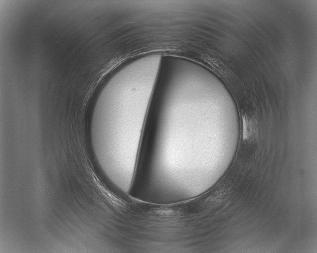 X0000057080253200509090920