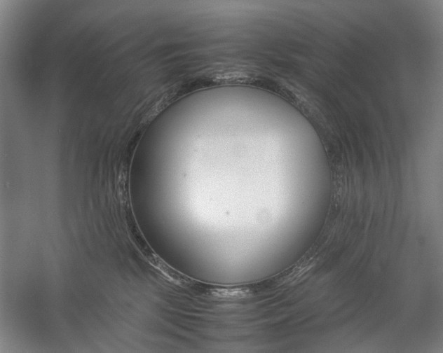 X0000057080281200509090920