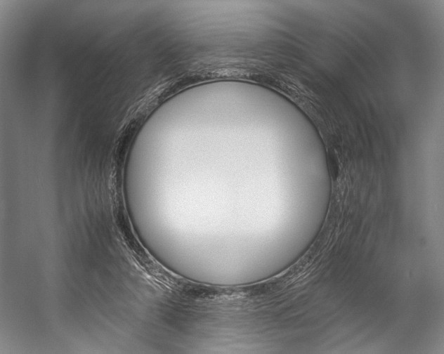 X0000057080306200509090919