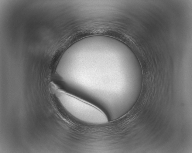 X0000057080307200509090919