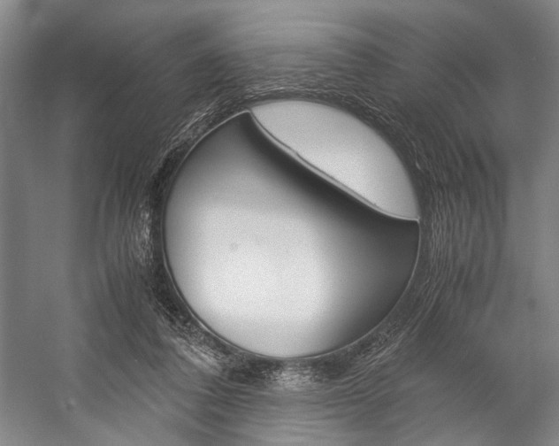 X0000057080308200509090919