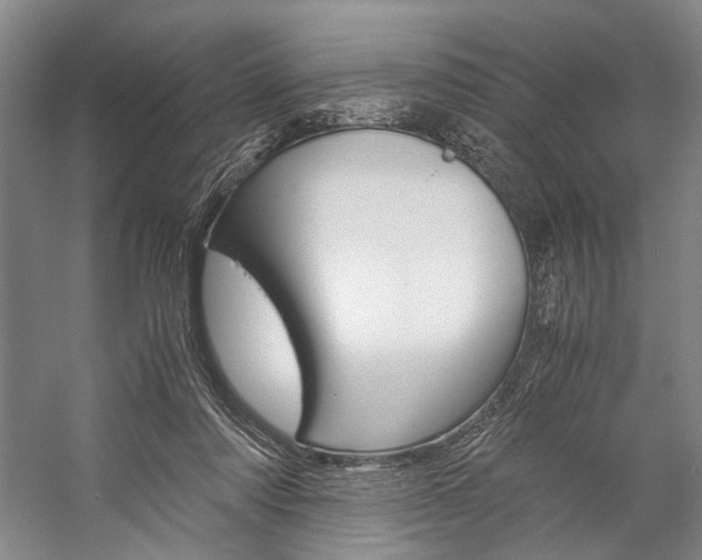 X0000057080310200509090919