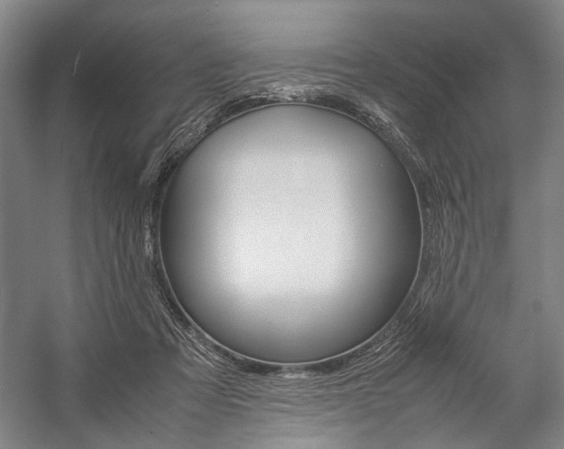 X0000057080313200509090919