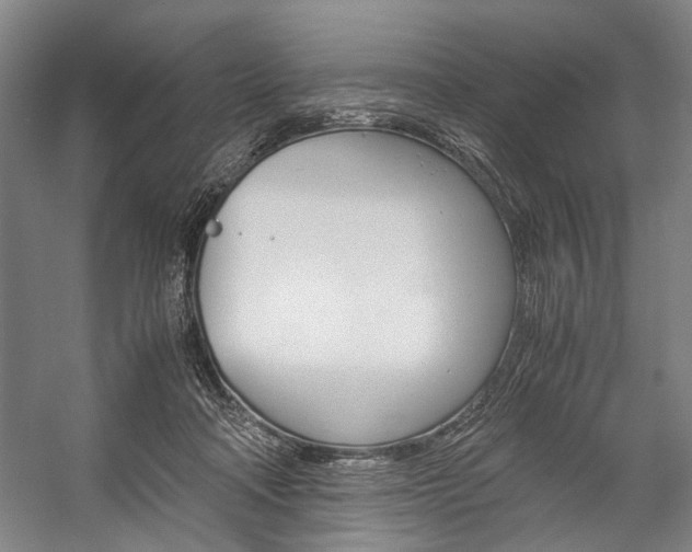 X0000057080314200509090919