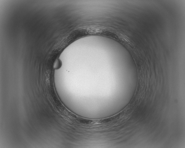 X0000057080315200509090919