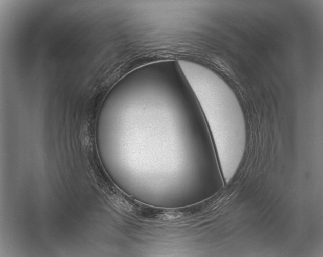 X0000057080317200509090919