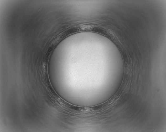 X0000057080321200509090919