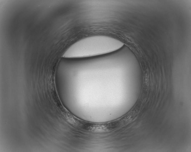 X0000057080322200509090919
