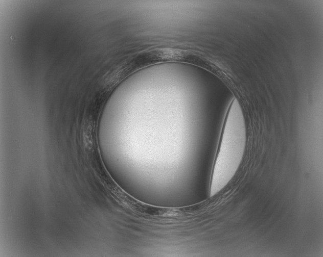 X0000057080325200509090919