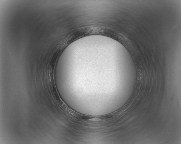 X0000057080326200509090919