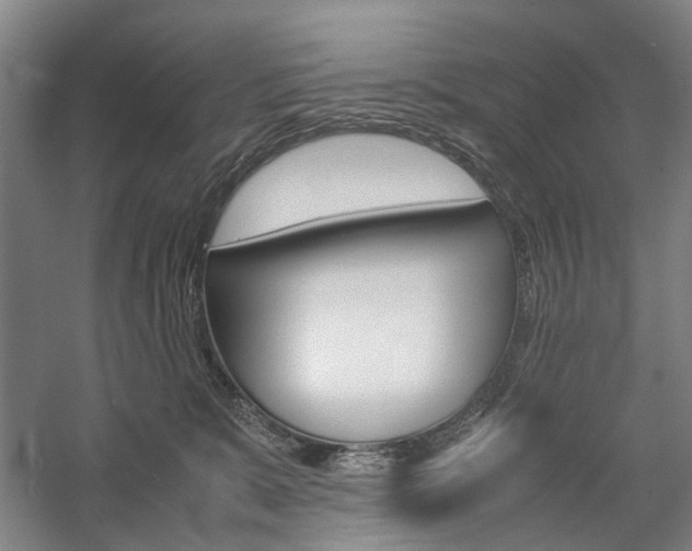 X0000057080327200509090919