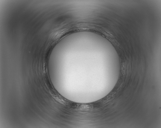 X0000057080330200509090919