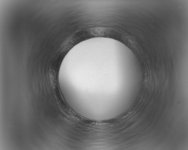 X0000057080332200509090919