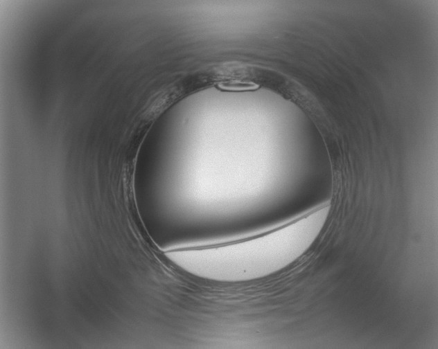 X0000057080333200509090919