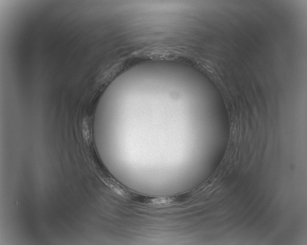 X0000057080335200509090919