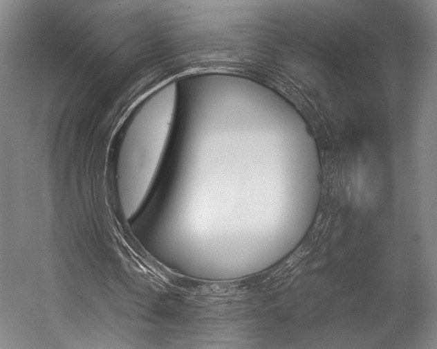 X0000057080338200509090918