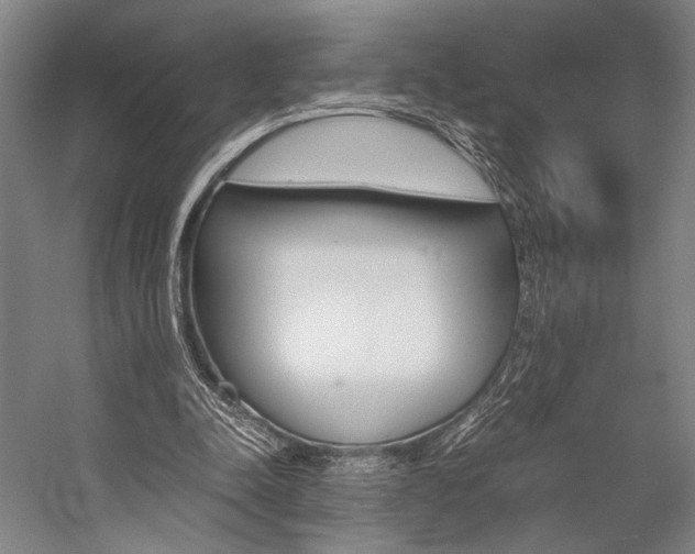 X0000057080342200509090918