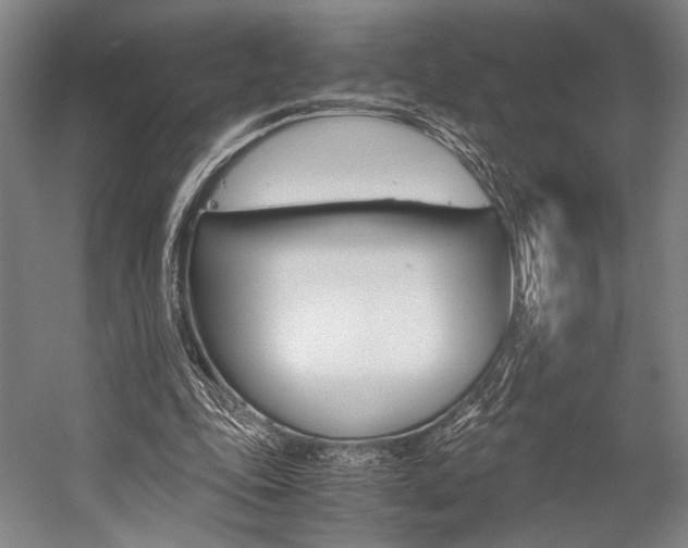 X0000057080343200509090918