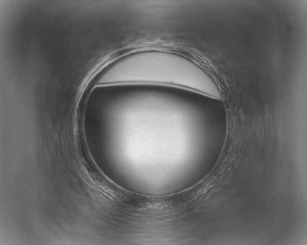 X0000057080344200509090918