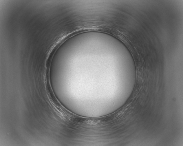 X0000057080346200509090918