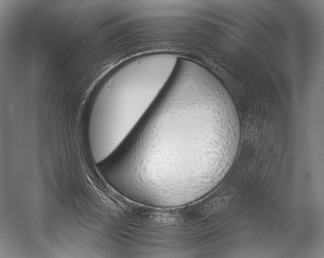X0000057080347200509090918