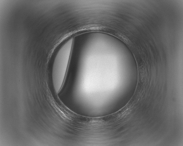 X0000057080350200509090918