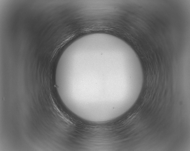 X0000057080356200509090918