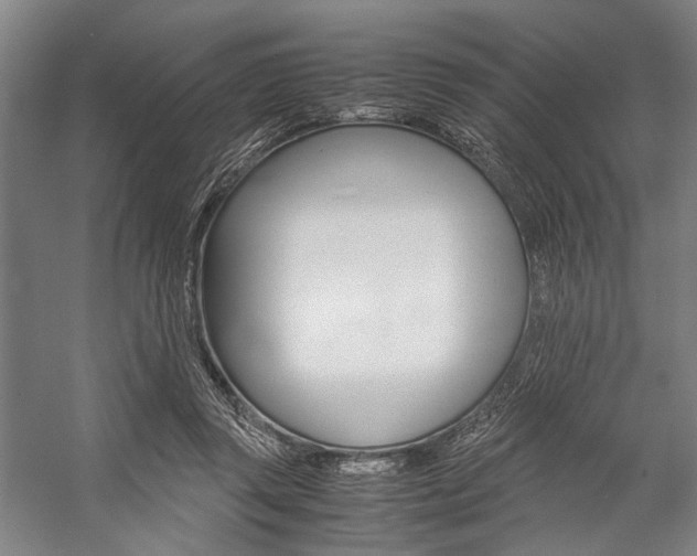 X0000057080357200509090919