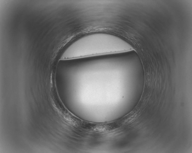 X0000057080358200509090919