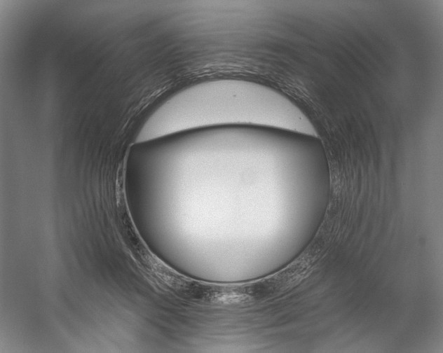X0000057080360200509090919