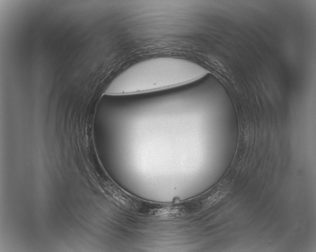 X0000057080366200509090919