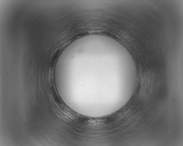 X0000057080367200509090919
