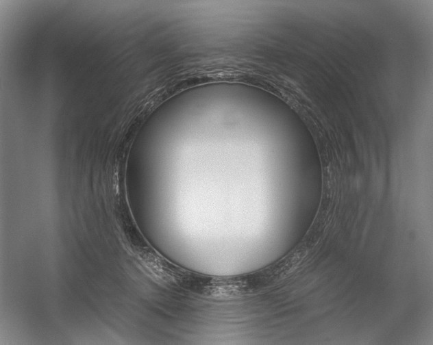 X0000057080368200509090919