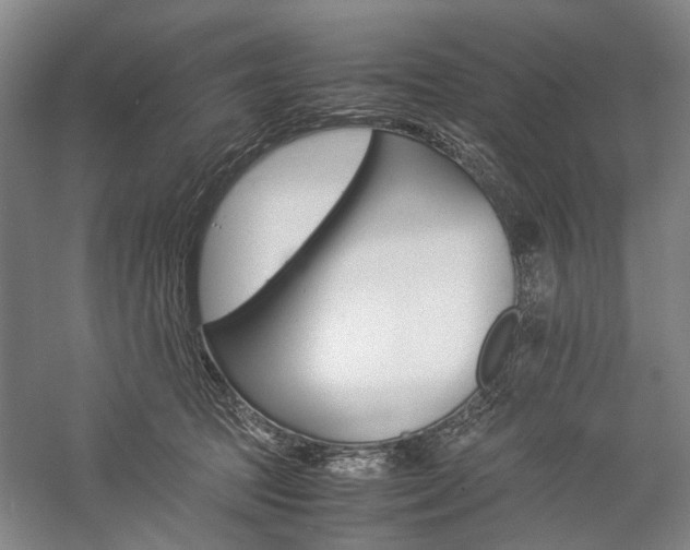 X0000057080369200509090919