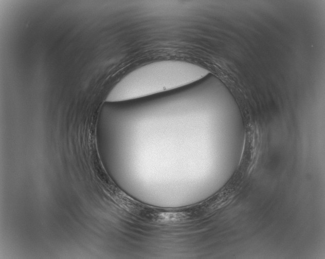 X0000057080371200509090919