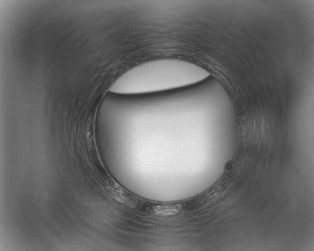X0000057080373200509090919