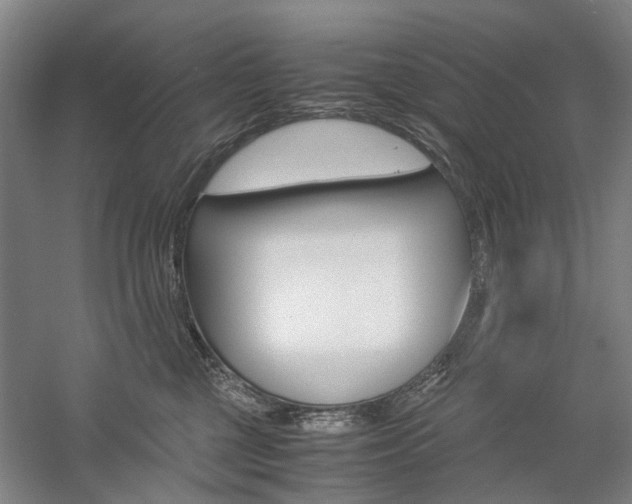 X0000057080377200509090919