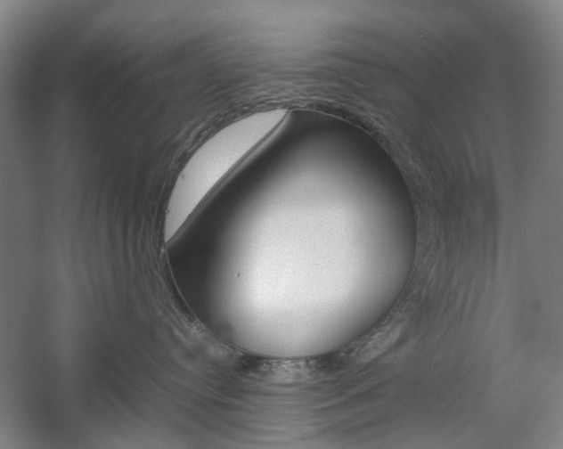 X0000057080384200509090919