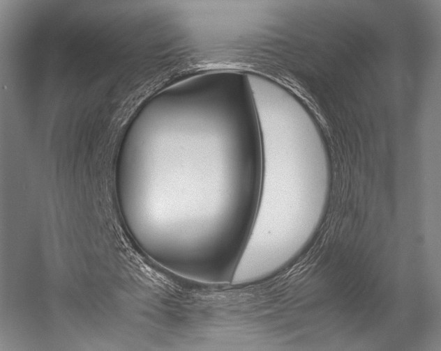 X0000057080385200509090918